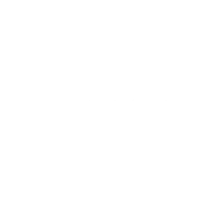 RoboterSys
